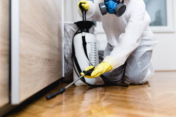 Pest Control Cost in Northbrook, OH