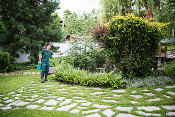 Best Pest Inspection Near Me  in Northbrook, OH