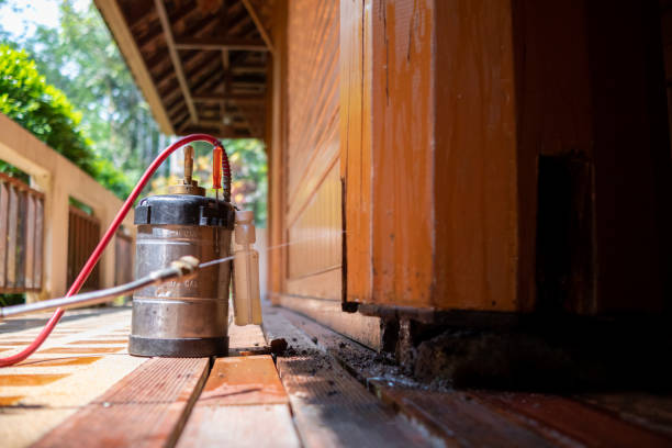 Best Pest Control for Homes  in Northbrook, OH