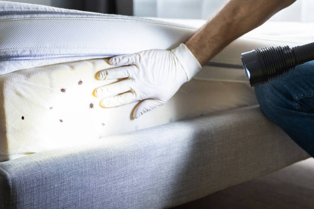 Best Best Pest Control Companies  in Northbrook, OH