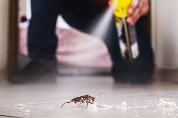 Pest Prevention Services in Northbrook, OH
